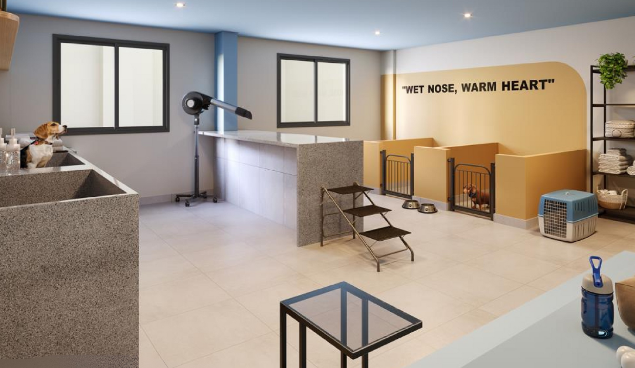 poroca_Luzes_decomposicao (14)