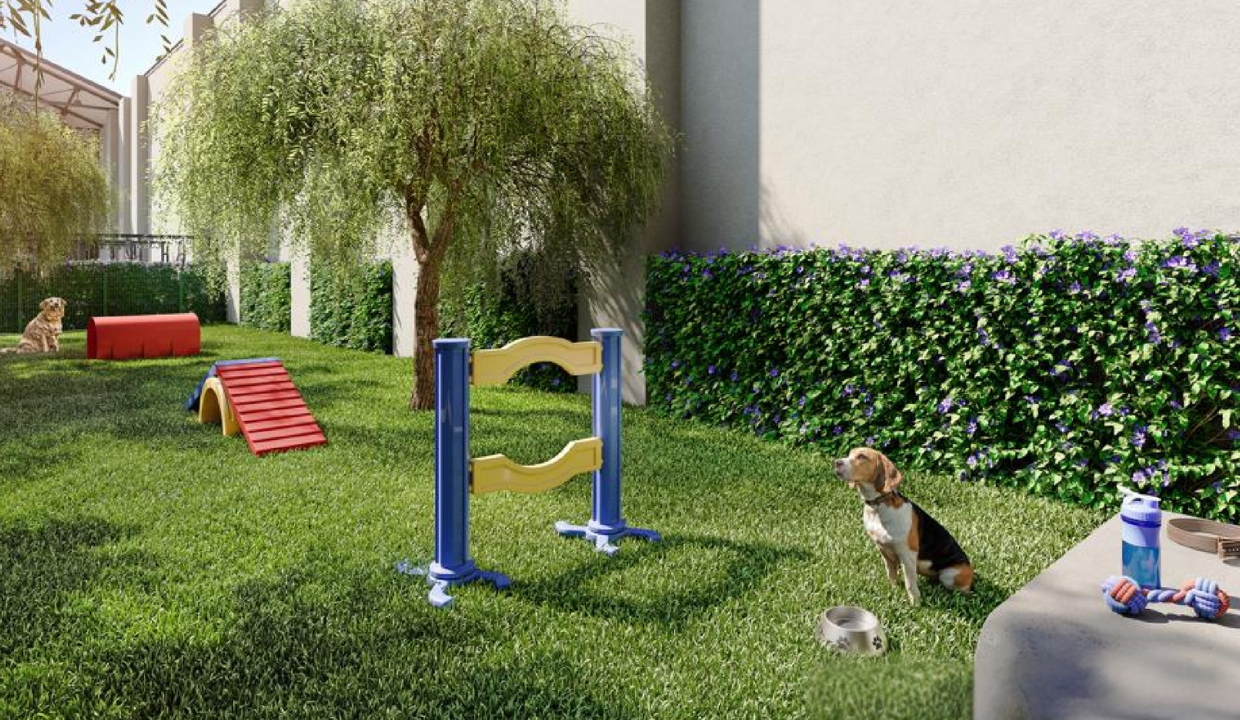 poroca_Luzes_decomposicao (23)